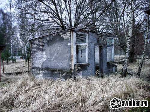 'База