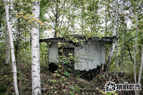'Виды 'Виды