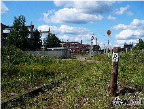 Рошальский химический завод +История, Московская область