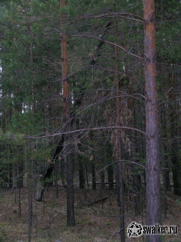 Заброшенная часть РВСН, Тюменская область