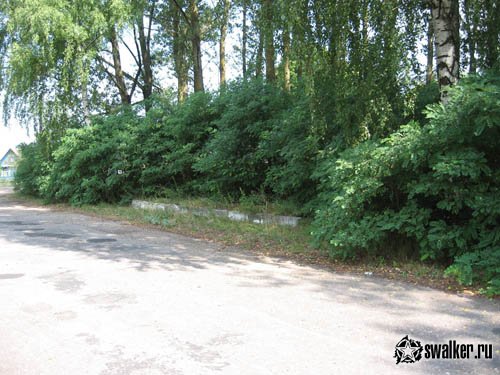 Заброшенная деревенская школа времён СССР, Гродненская область