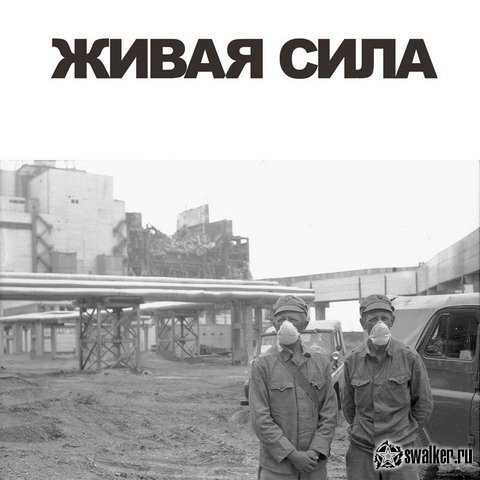 Авария на ЧАЭС. Действия персонала станции в момент аварии. Авария на ЧАЭС. Действия персонала станции в момент аварии.