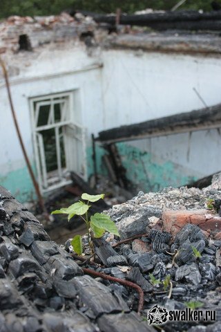 Заброшенный корпус больницы, Тверская область Заброшенный корпус больницы, Тверская область