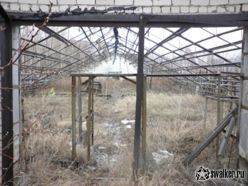Теплицы Радиозавода, Челябинская область Теплицы Радиозавода, Челябинская область