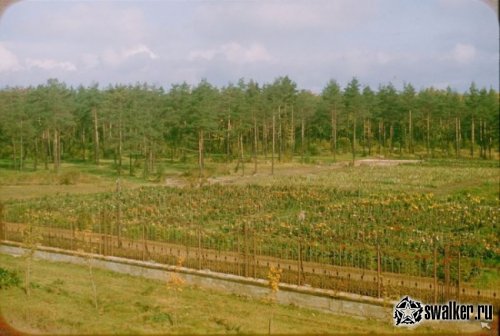 Москва, 1956 год Москва, 1956 год
