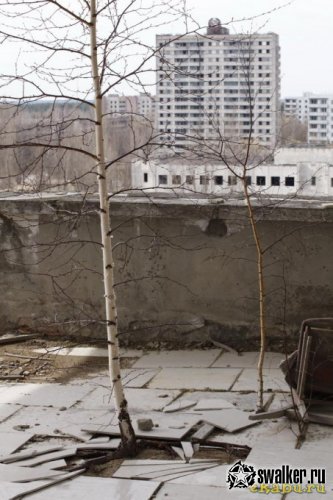 Экскурсия в Припять, 25 Лет спустя