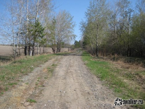Руины пионер лагеря ЗВЕЗДНЫЙ (Версия 2), Курганская область