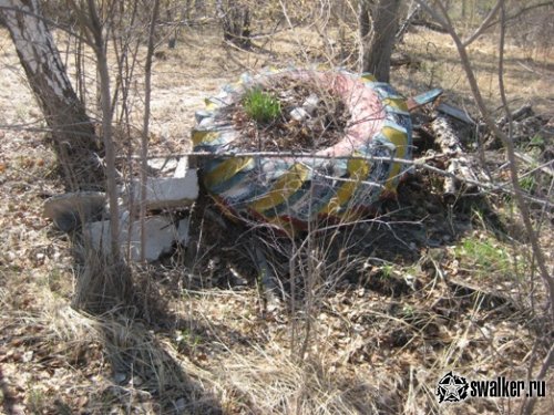 Руины пионер лагеря ЗВЕЗДНЫЙ (Версия 2), Курганская область