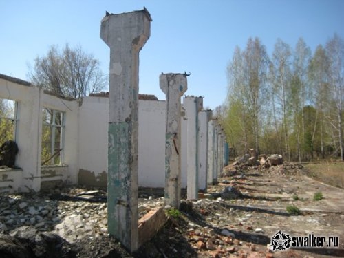 Руины пионер лагеря ЗВЕЗДНЫЙ (Версия 2), Курганская область