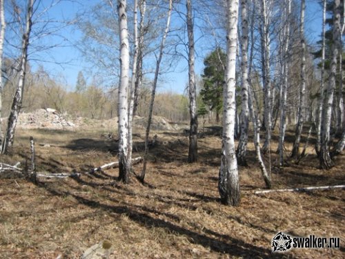 Руины пионер лагеря ЗВЕЗДНЫЙ (Версия 2), Курганская область