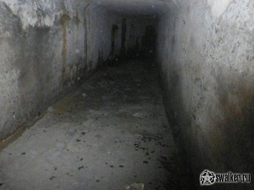 Заброшенная шахта, Челябинская область Заброшенная шахта, Челябинская область