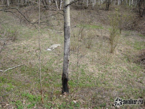 Заброшенное ПВО, Свердловская область
