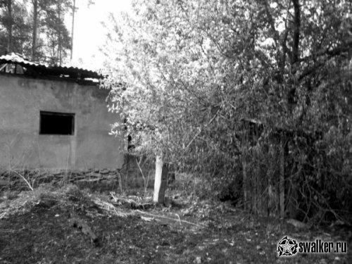 Заброшенные строения бывшего колхоза, Челябинская область Заброшенные строения бывшего колхоза, Челябинская область