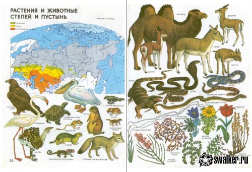Вспоминаем советскую школу Вспоминаем советскую школу