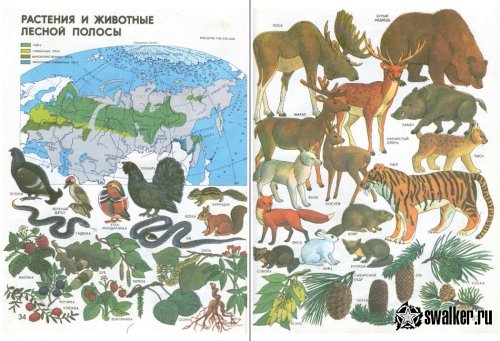 Вспоминаем советскую школу Вспоминаем советскую школу