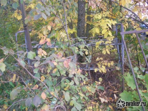 Заброшенный стекольный завод, Новгородская область