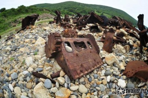 Остров Аскольд, Приморский край