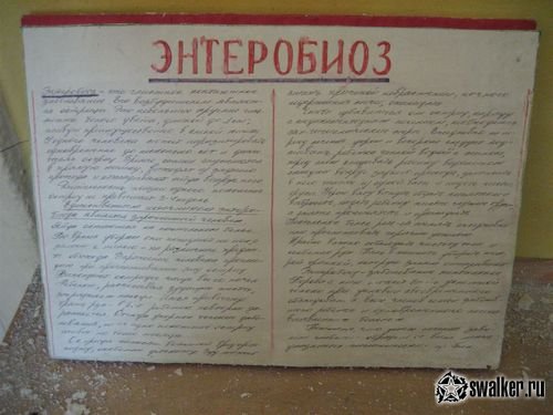 Заброшенный детский сад Заброшенный детский сад
