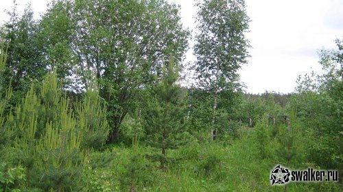 Склад взрывчатых веществ, Свердловская область Склад взрывчатых веществ, Свердловская область