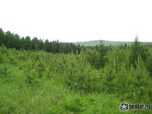 Склад взрывчатых веществ, Свердловская область Склад взрывчатых веществ, Свердловская область