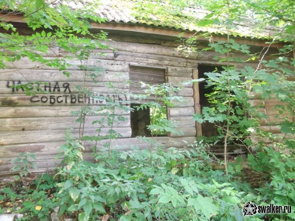 Заброшенная усадьба Максимилиана фон Мекка. Тульская область.