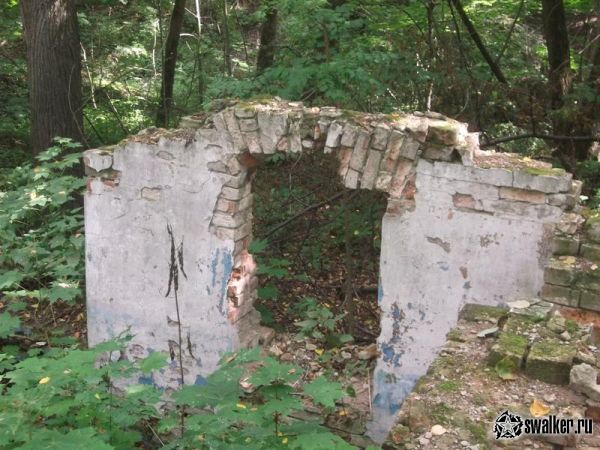 Заброшенная усадьба Максимилиана фон Мекка. Тульская область.