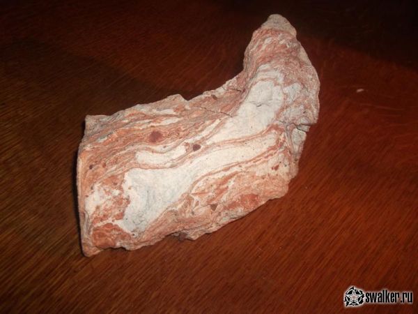 Заброшенная усадьба Максимилиана фон Мекка. Тульская область.