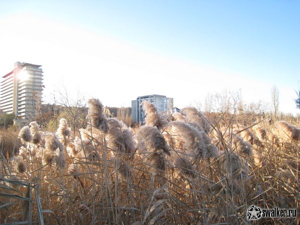 Корпуса и территория заброшенного Куяльника, Украина