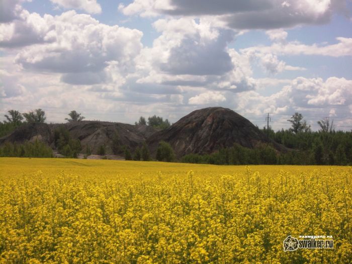 Р’ Р¶С‘Р»С‚РѕРј РјРёСЂРµ