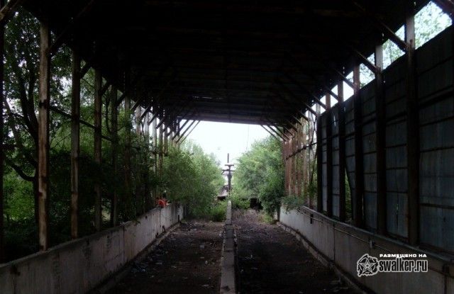 Территория отстойника ТЭЦ-2, Ростов-на-Дону